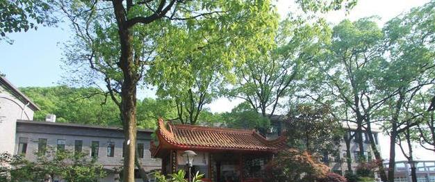 截图_20211116125500