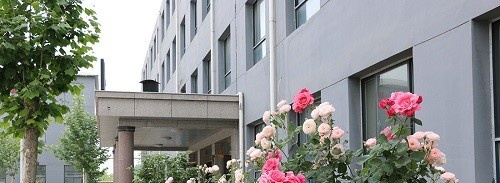 石家庄中英航空中等专业学校2022年怎么样、好不好