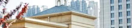 天津惠灵顿国际学校2022年入学考试