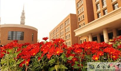 石家庄二中国际部
