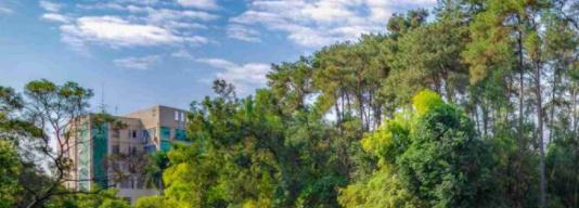 广西机电职业技术学院网站