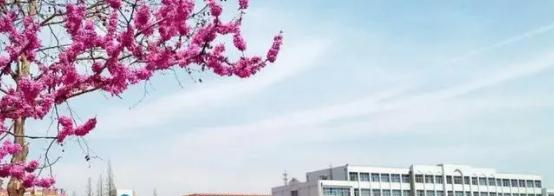 莱阳市职业中等专业学校