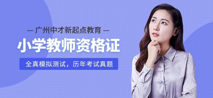 广州小学教师资格证培训班