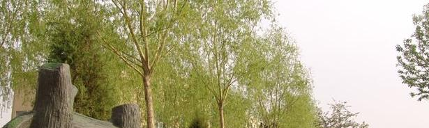 兰州外语职业学院五年制大专2020年招生办