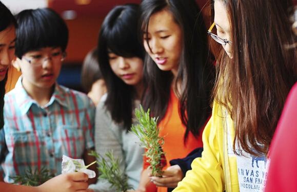 北京乐成国际学校教学体系