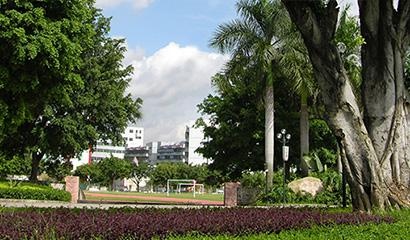 深圳市石岩公学