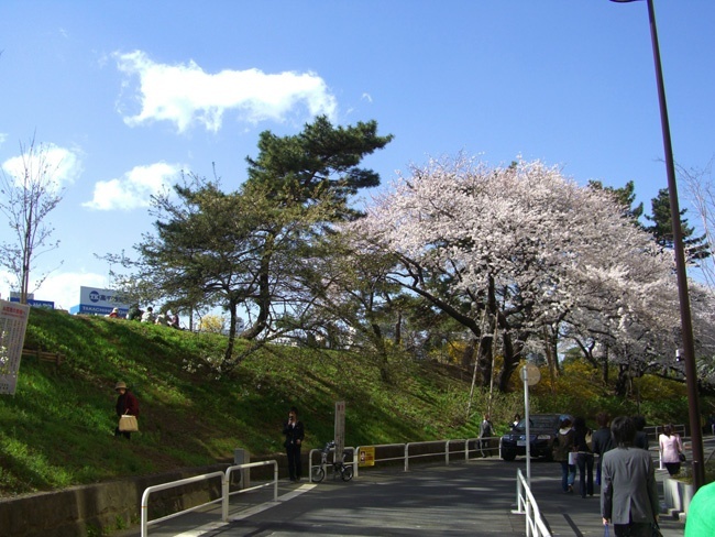 上智大学
