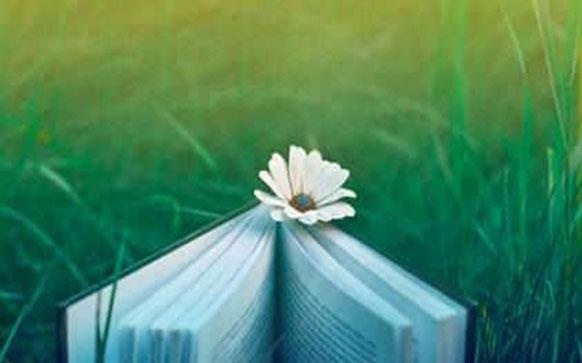 俄语的调料怎么说