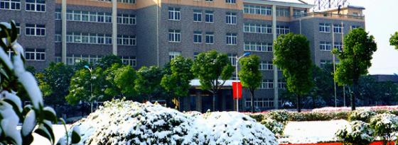 民办合肥滨湖职业技术学院2020年招生代码 