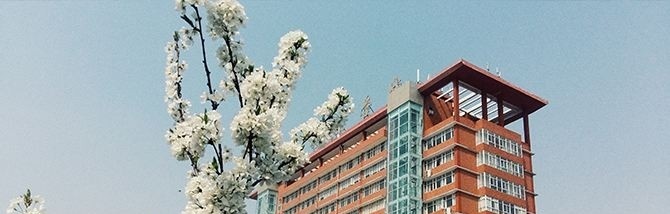 洛阳科技职业学院单招报名条件