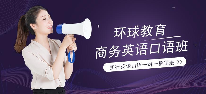 广州环球商务英语口语私教课程配图