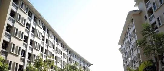 广州华南商贸职业学院网站