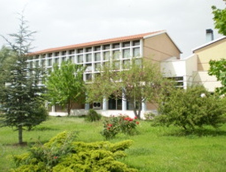 希腊国际大学