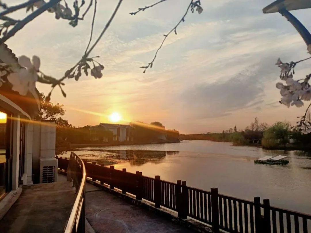 上海宏润博源学校 暑期GIA学分夏校