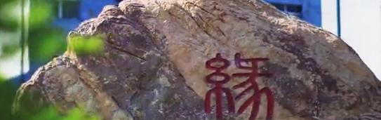 哈尔滨城市职业学院单招2020年单独招生成绩查询、入口