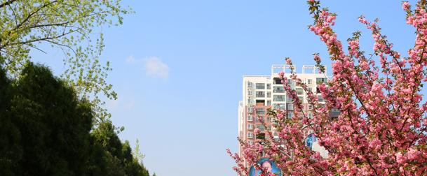 荆门职业学院
