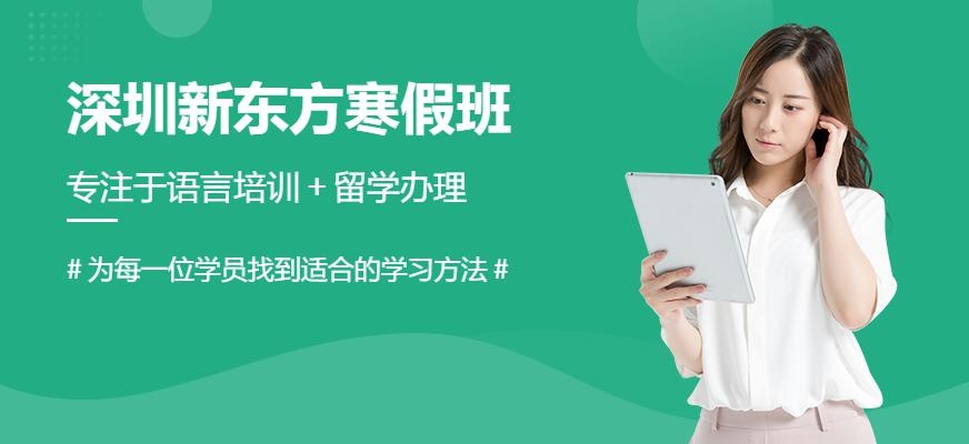 深圳新东方寒假班