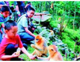 武汉神农架登山夏令营