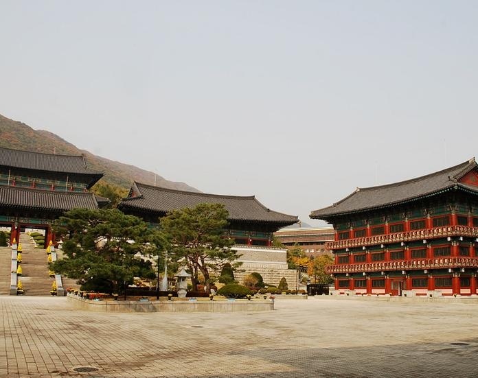 大真大学