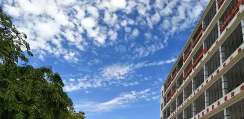 三亚青林学校历年招生分数线一览表(2023参考)