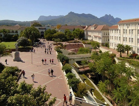 斯坦陵布什大学