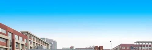 广东碧桂园(IB国际)学校2022年学费标准