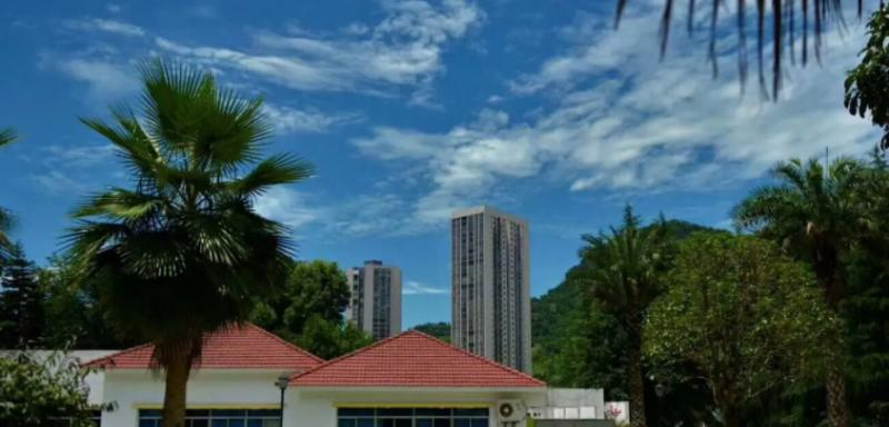 重庆万州赛德国际学校小学部2023年录取分数线