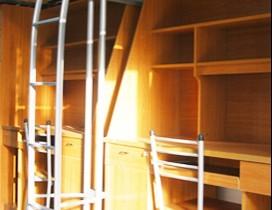 上外实验志远国际