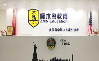 广州啄木鸟教育