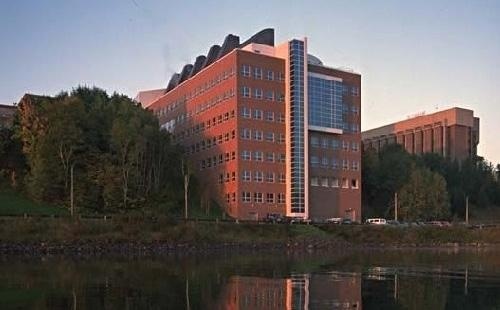 密西根州立大学