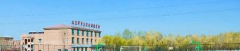 北京中关村外国语学校