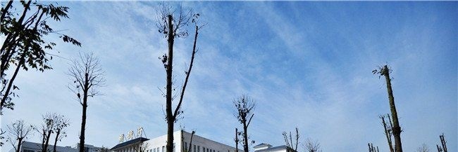 铜仁交通学校