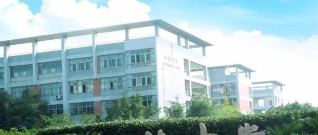 树德中学2021年排名