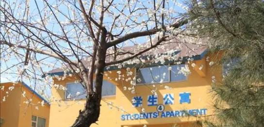 北京私立树人瑞贝学校初中部2023年入学条件