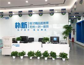 成都朴新树才教育