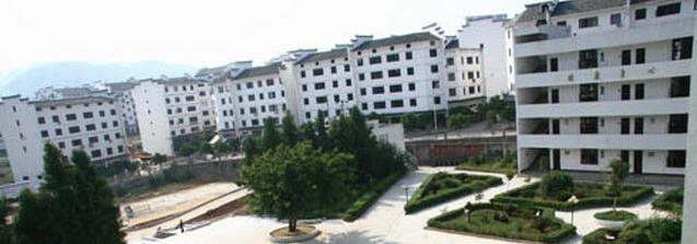 截图_20211116125615