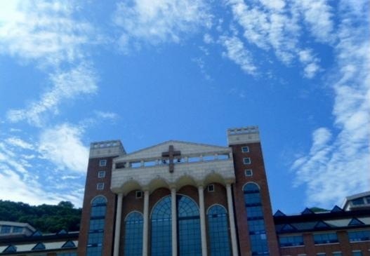 圣洁大学