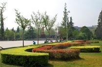 河南师范大学成人自考