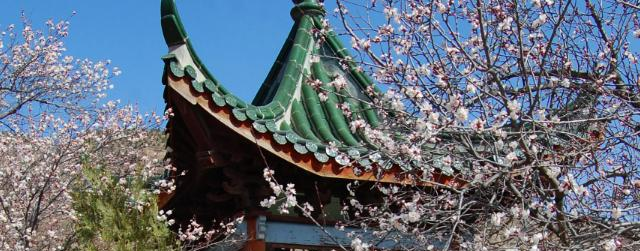 定西师范高等专科学校网站