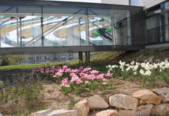 圣伊斯特万大学