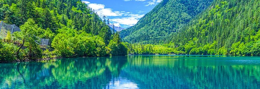 课程背景