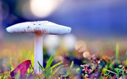 消防工程调试方法