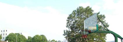 雄县职教中心2022年招生办