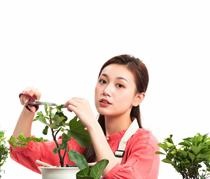 可以增加美学锻炼