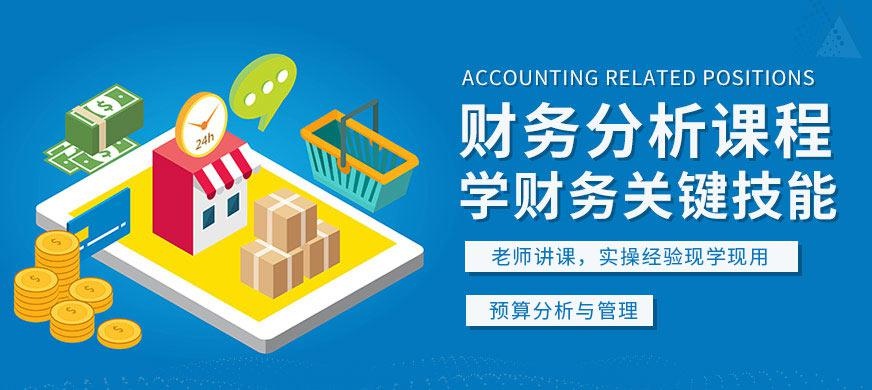 财务数据分析课程