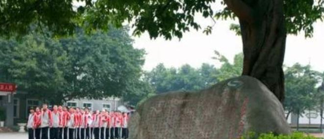 石室联合中学（西区）（原石人中学）