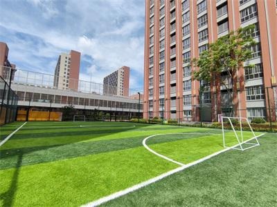 华二紫竹学院