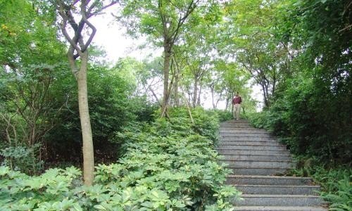 隆昌县石燕职业中学网站