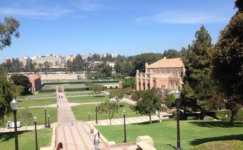 加州大学洛杉矶分校