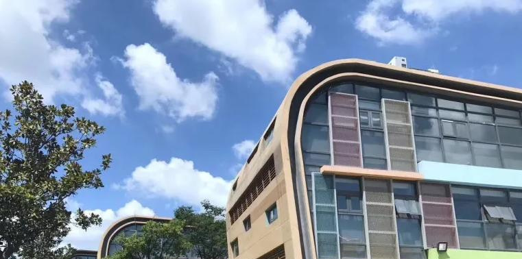 苏州新加坡国际学校初中部2023年课程体系2